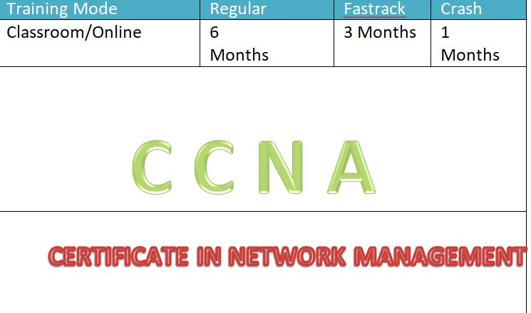 Course - Diploma in Computer Application - 6 Month