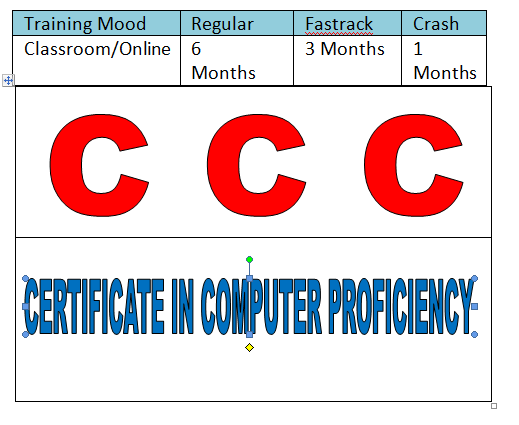 Course - Diploma in Computer Application - 6 Month